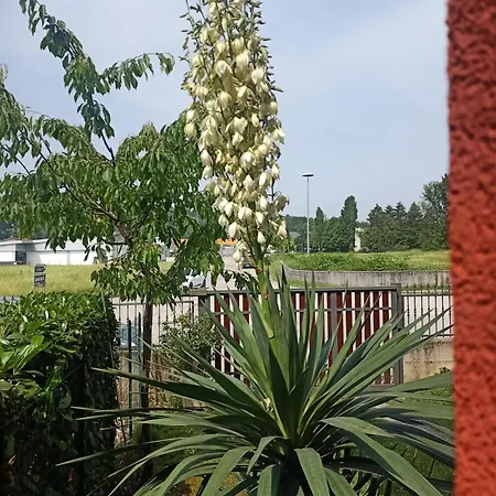 Cjase Paola Apartament Cassacco